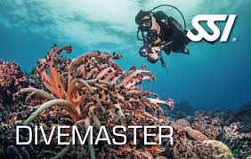 Specialdive-Divemaster